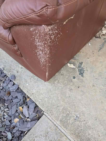 Photo of free Leather armchair for upcycling (Brafield on the Green NN7) #2