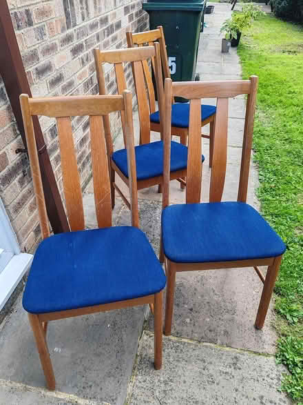Photo of free Dining chairs (Hamstreet TN26) #1