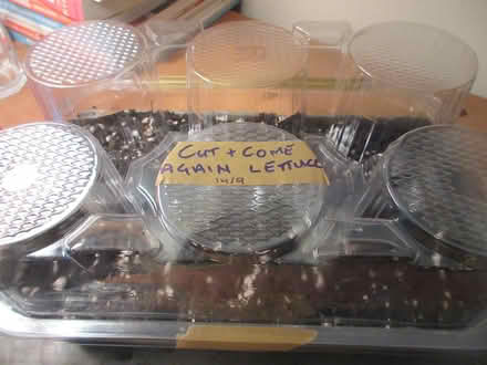 Photo of free Clear Plastic Cell Trays (Dublin 12) #1