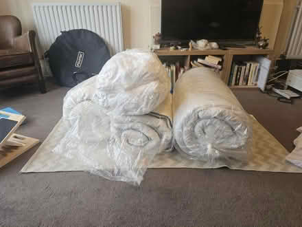 Photo of free Duvets and pillows (N3) #1