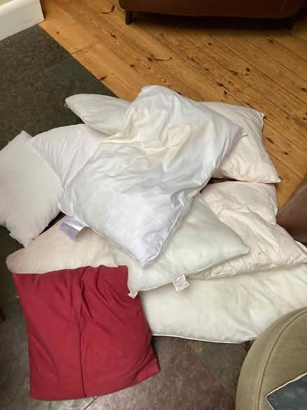 Photo of free Old cushion pads/pillows (Cambridge CB4) #1