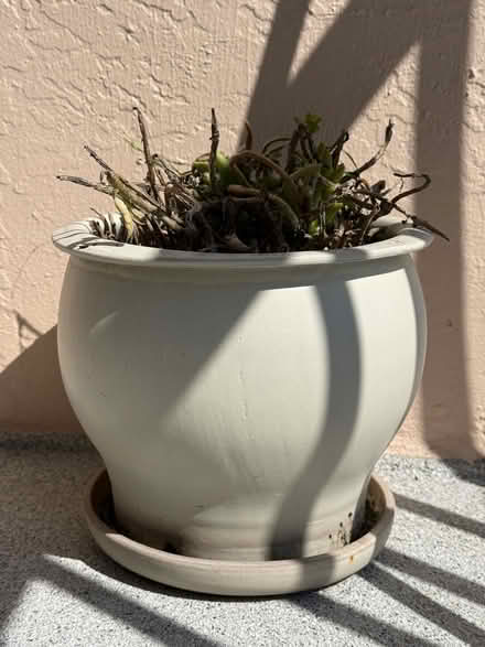 Photo of free Plant Pots (St. Augustine Beach, FL) #2