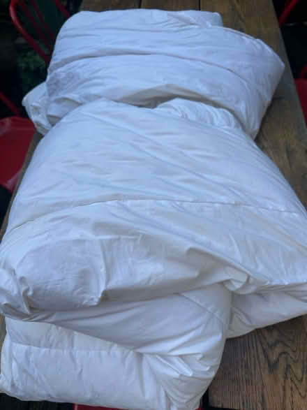 Photo of free Nice feather double duvet (Shaklwell N16) #1