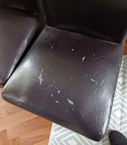 Photo of free Dining room chairs (Greystones S11) #2