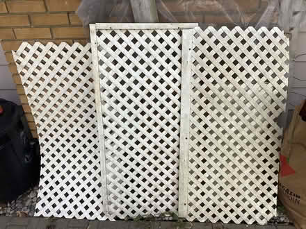 Photo of free Garden lattice (Nepean) #1