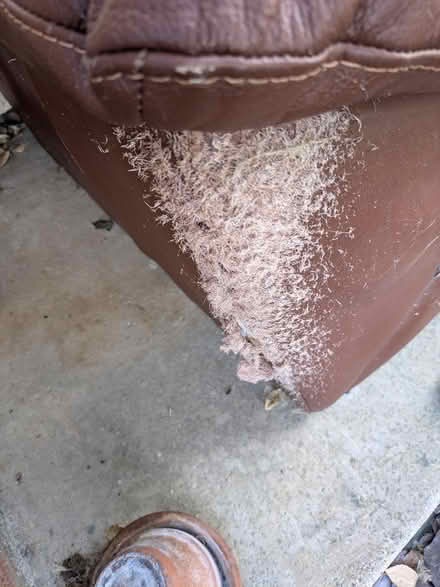 Photo of free Leather armchair for upcycling (Brafield on the Green NN7) #1