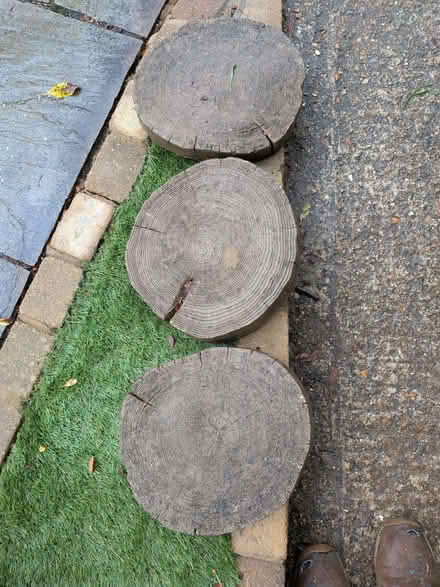 Photo of free 3 tree-like stepping stones (Walsworth SG4) #1