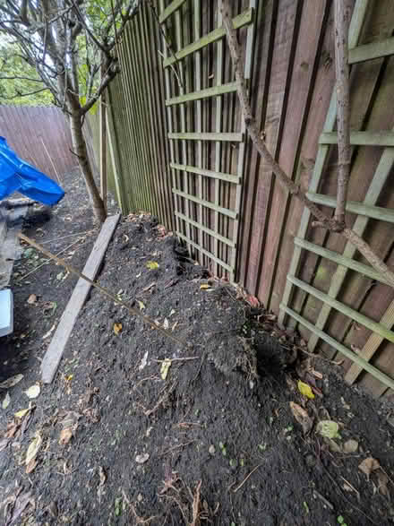 Photo of free 3 tonnes organic top soil (Petersfield CB1) #3
