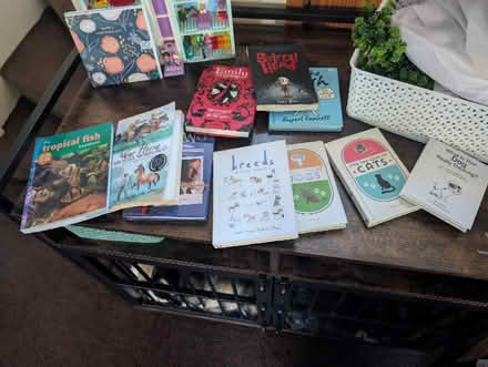 Photo of free Lots of books (Duxford CB22) #1