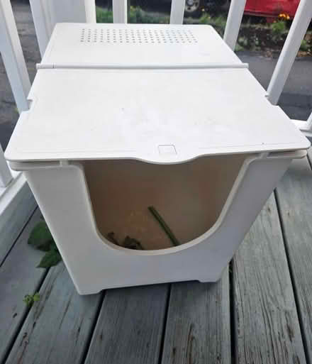 Photo of free Modkat (Medford ma) #1