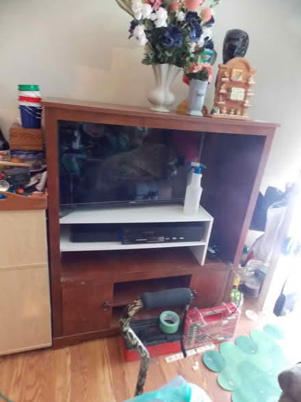Photo of free Entertainment center (Streamwood) #3