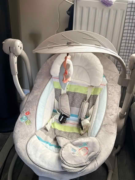 Photo of free Baby bouncer (Killamarsh S21) #1