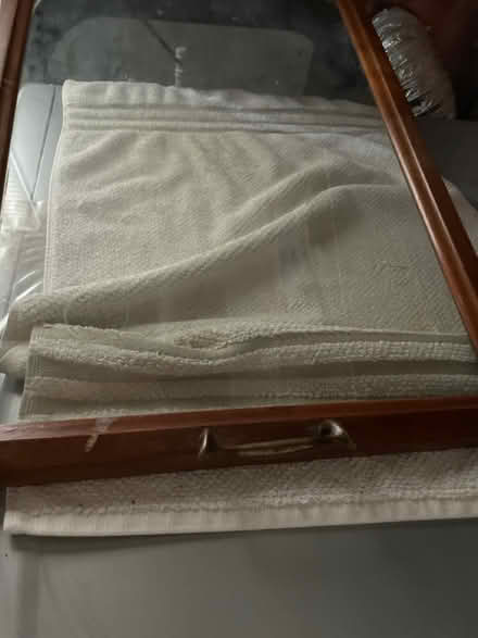 Photo of free Glass tray with antique handles (Neyagawa river glen, oakville.) #3