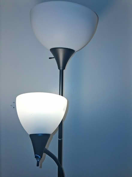 Photo of free Tall 2 bulb standing lamp (Anaheim) #1