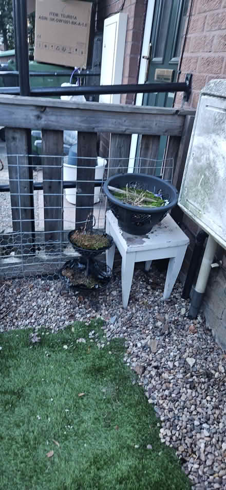 Photo of free Plant Pots (Bramley LS13) #2