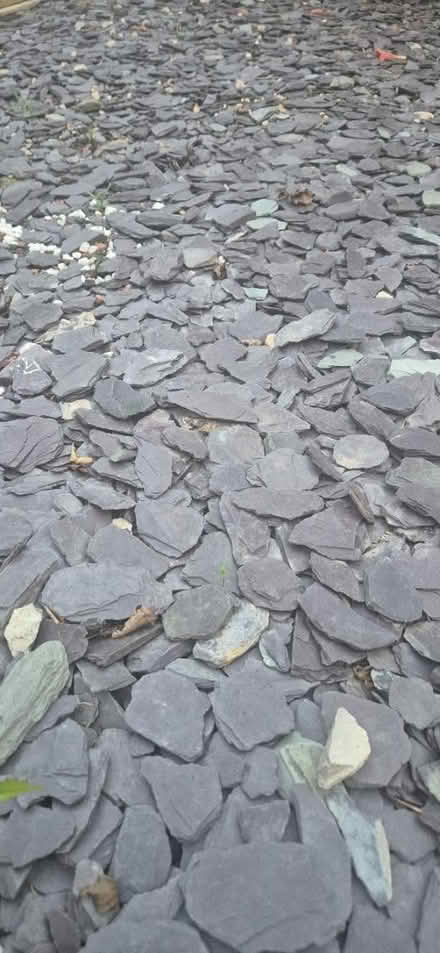 Photo of free Grey slates (Abbeydale Gloucester) #1