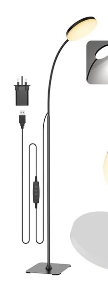 Photo of free Flexible, dimmable floor lamp (Arborfield RG2) #1