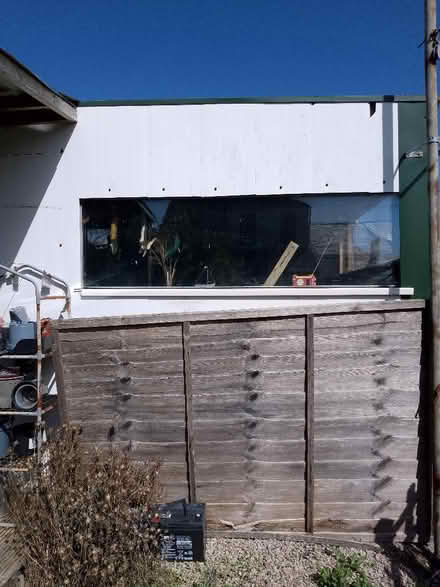 Photo of free Fence Panel (Camborne TR14) #1