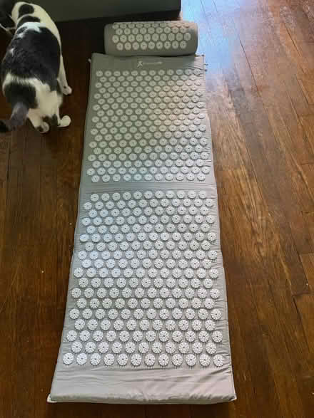 Photo of free Acupressure mat (Sunnyside) #1