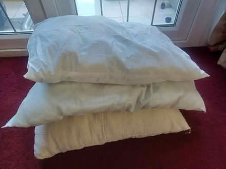 Photo of free 3 Clean Pillows (Kingswinford DY6) #1