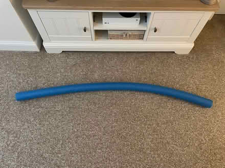 Photo of free Large pool noodle (Appleton WA4) #1