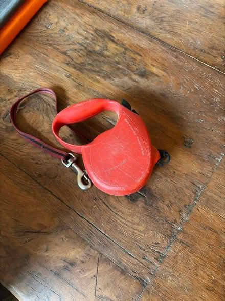 Photo of free Extendable dog leas (Chiswick W4) #1