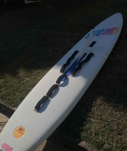 Photo of free Vintage Windsurfer (Mondeor, Johannesburg) #1