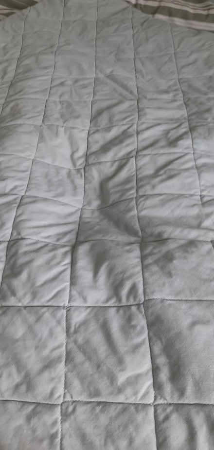 Photo of free Double quilted bed cover - colour duck egg (Woodley RG6) #1