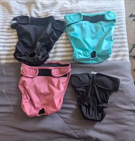 Photo of free Female dog diapers (Durham, South falls lake area) #1