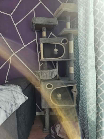 Photo of free Cat tree (Hayes UB4) #1