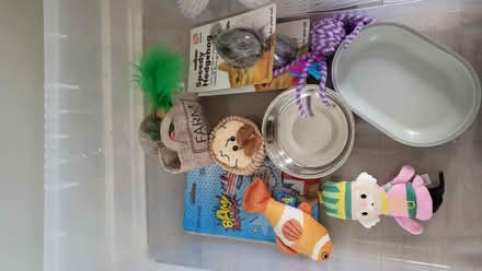 Photo of free New cat toys (Temple Street OX4) #1