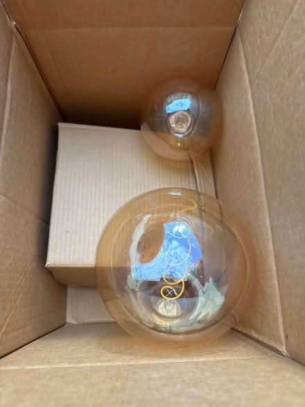 Photo of free Three large bulbs (Markfield LE67) #1