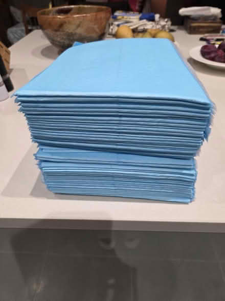 Photo of free Blue bed pads - inco linen etc pads (Ladywell SE13) #1