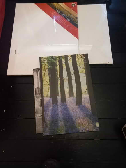 Photo of free Canvases (Mottingham SE9) #1