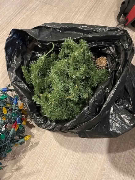 Photo of free seasonal decorations (Golden Triangle) #2