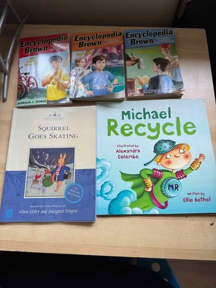Photo of free Kids books (The Camp AL1) #1