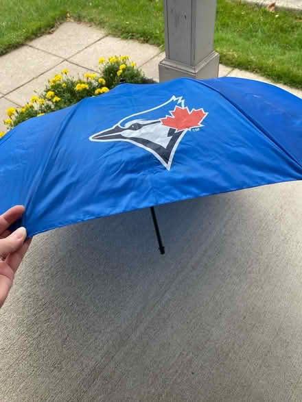 Photo of free Blue jays umbrella (Winston Churchill/collegeway) #2