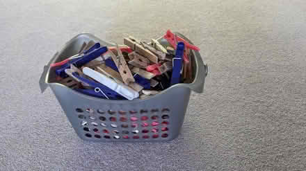 Photo of free Clothes pegs (Leybourne) #1