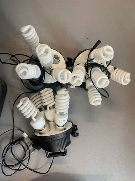 Photo of free 3x photography studio lights (Aigburth, Liverpool L17) #1