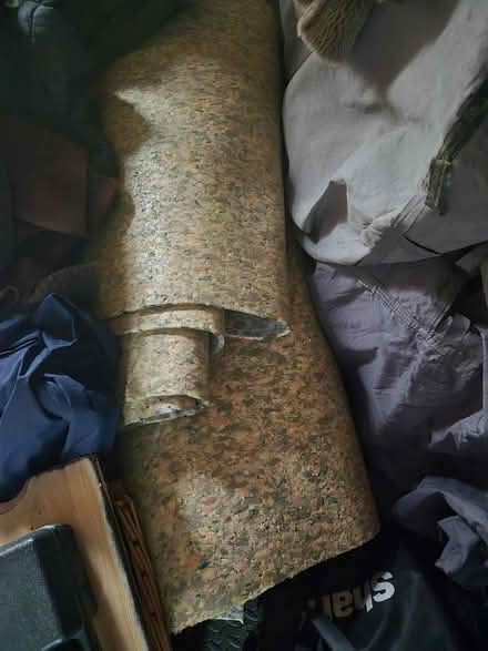 Photo of free Carpet (Sprowston NR7) #3