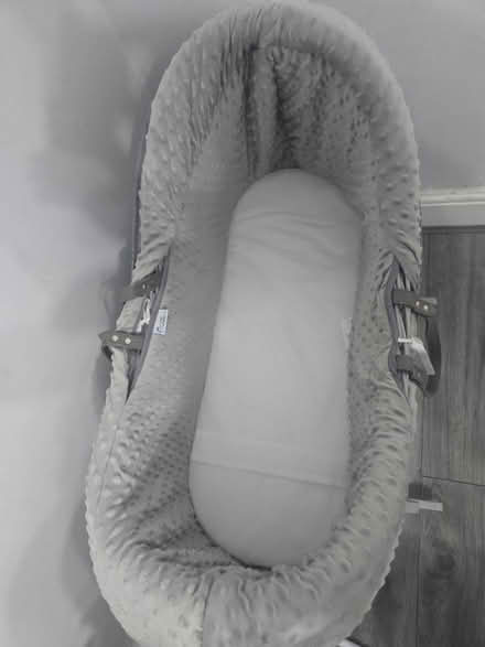 Photo of free Moses basket (L21 1br) #2