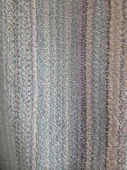 Photo of free Rug (Drayton PO6) #1