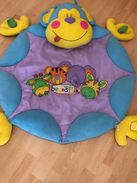 Photo of free Beanstalk Playmat/baby gym (Caversham RG4) #1