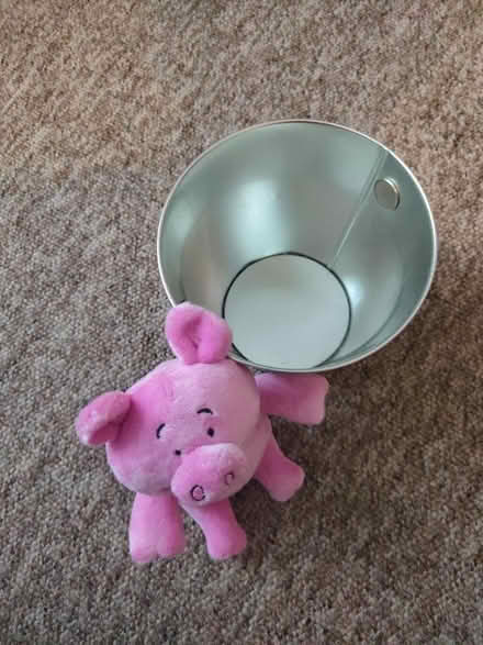 Photo of free Percy pig tin + plushie (Beeston NG9) #3
