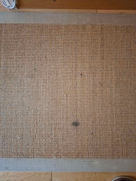 Photo of free Hallway Runner Rug (Taverham NR8) #3