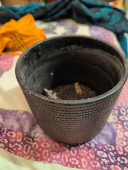 Photo of free Brown ceramic Plant pot. 6" tall. (Alperton HA0) #2