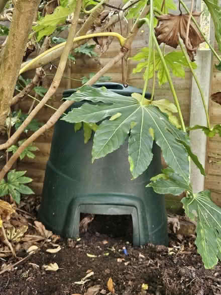Photo of free Compost bin plus compost (Tolworth KT6) #2