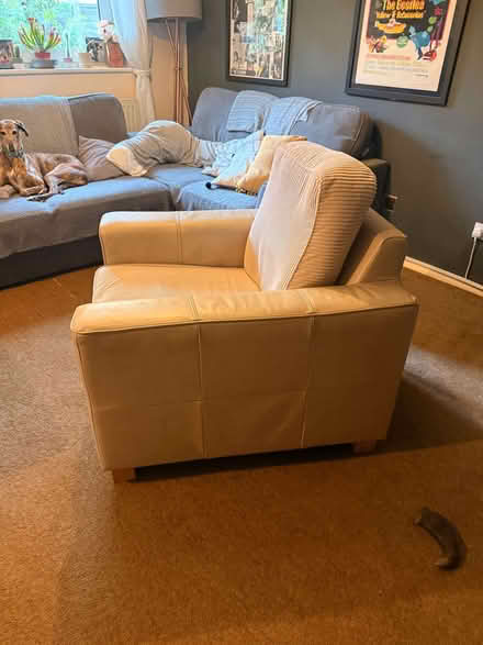Photo of free Large Single Seat Armchair (St. Stephen's CT2) #3