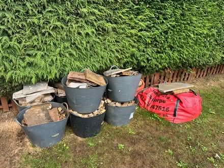 Photo of free Ruble (Gainsborough DN21) #2