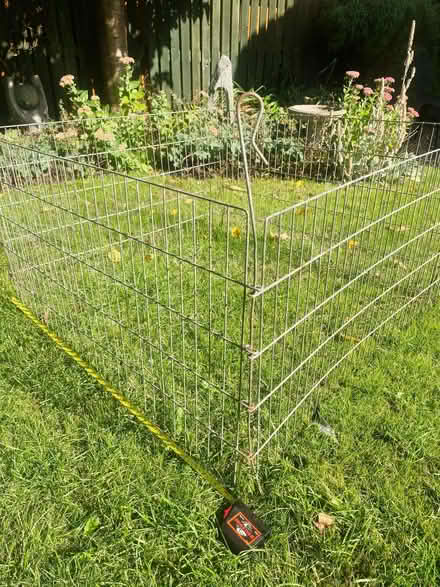Photo of free Garden run 3' square, suits guinea pigs etc (Romanby DL7) #1